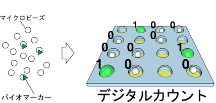 図２