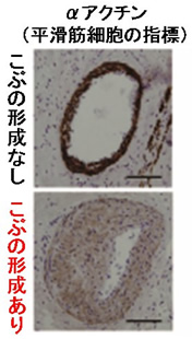 図４