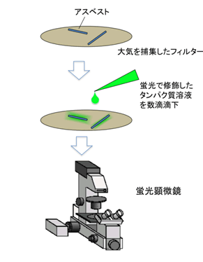 図３