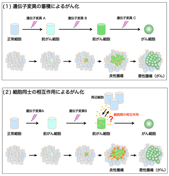 図１