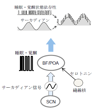 図４