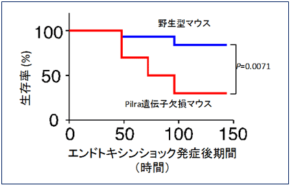 図２