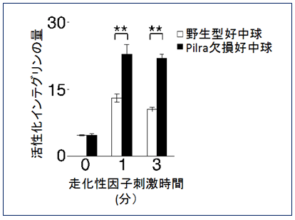 図５