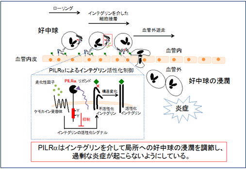 図６