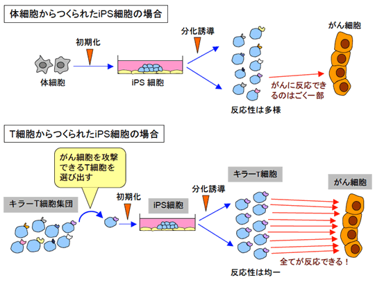 図７