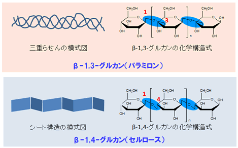 共同発表 ミドリムシを主原料とするバイオプラスチックを開発 植物由来成分が約７０ を占める