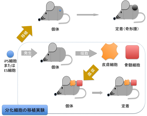 図