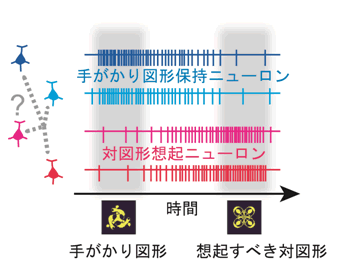 図２