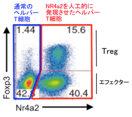 図３