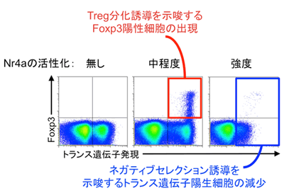 図５