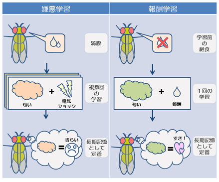 図１