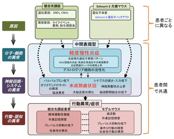 図７