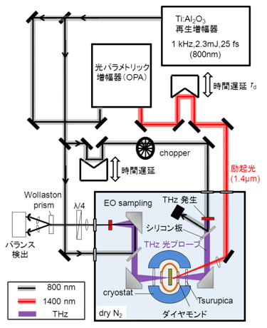 図２