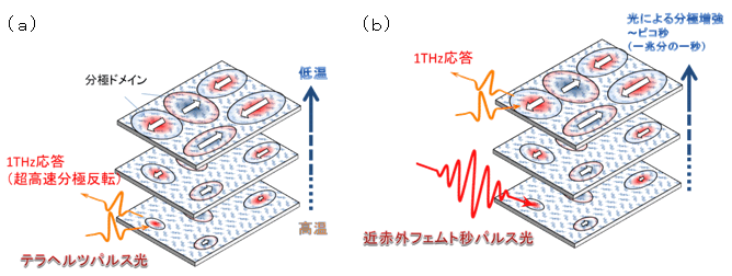 図４