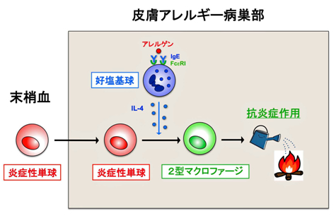 図１