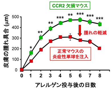 図２