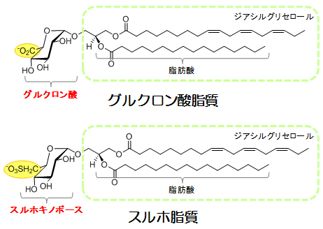 図１