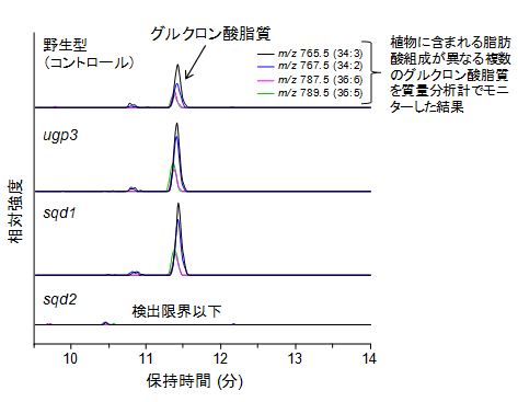 図２