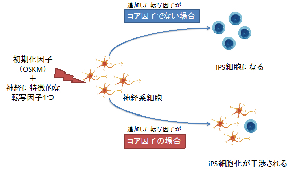 図１