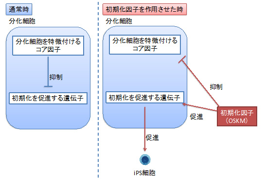 図３