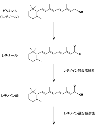 図３