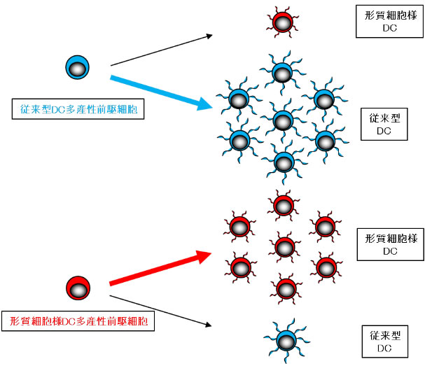 図１