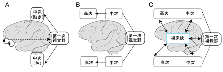 図５