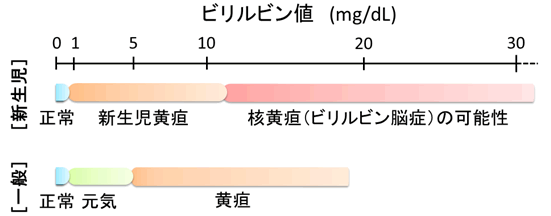 図６