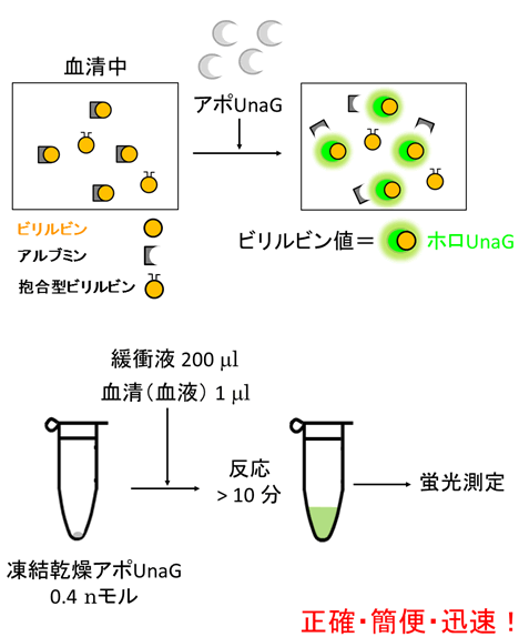 図８