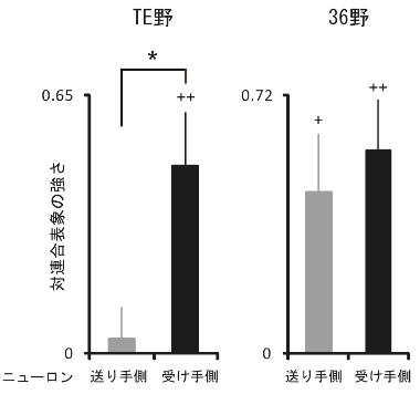 図６