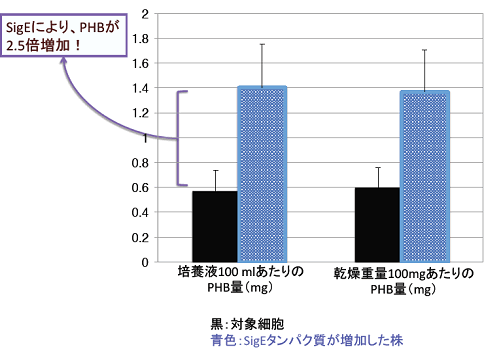 図１