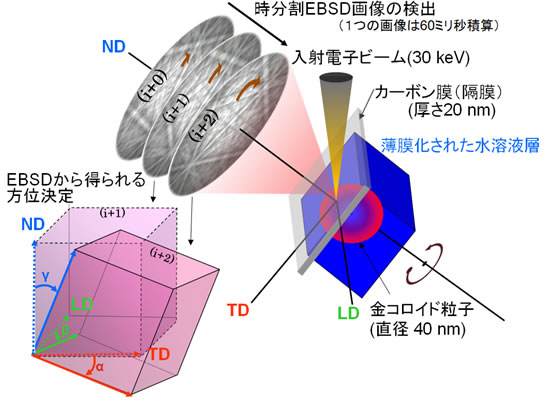 図１