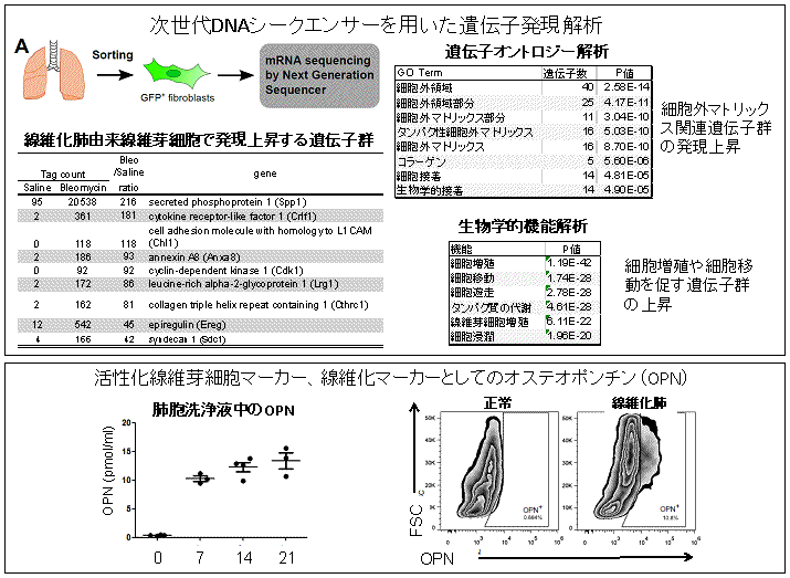 図２