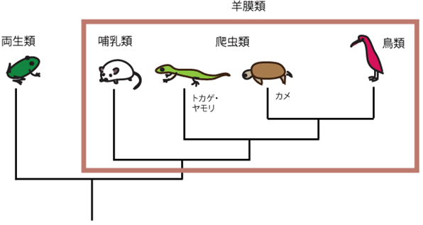 無脊椎動物天然記念物一覧