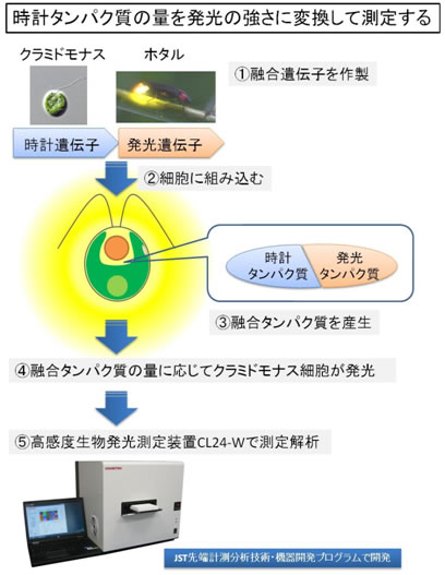 図１