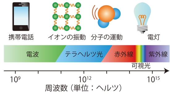 図３