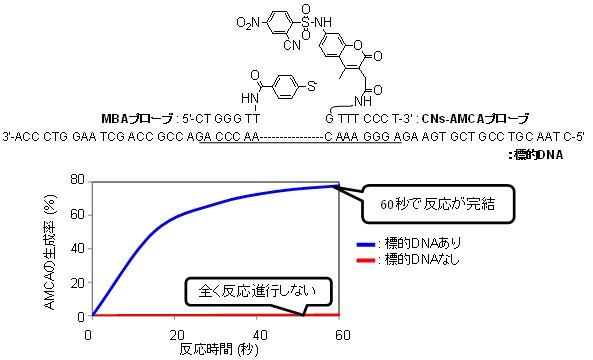 図２