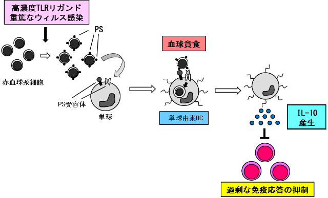 図４