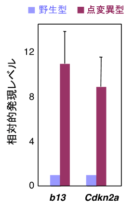 図４