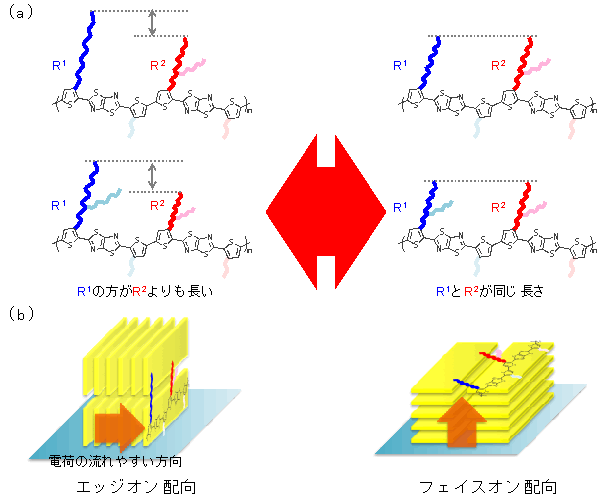 図２