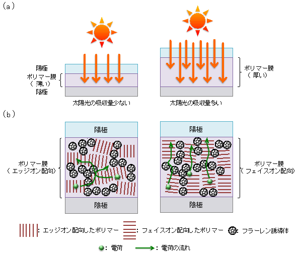 図４