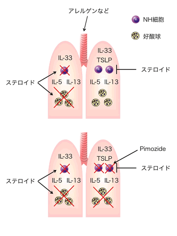 図４