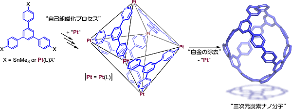 図２