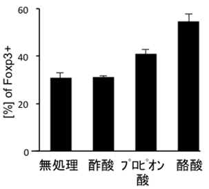 図２