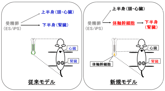 図１