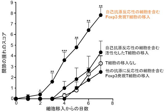 図２