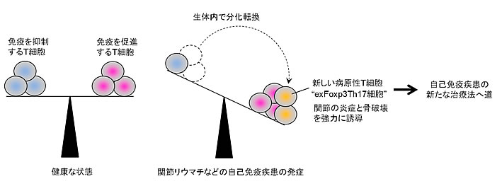 図３