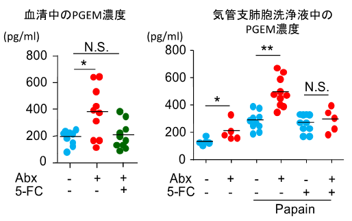 図３