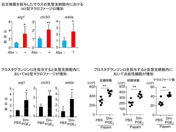 図４