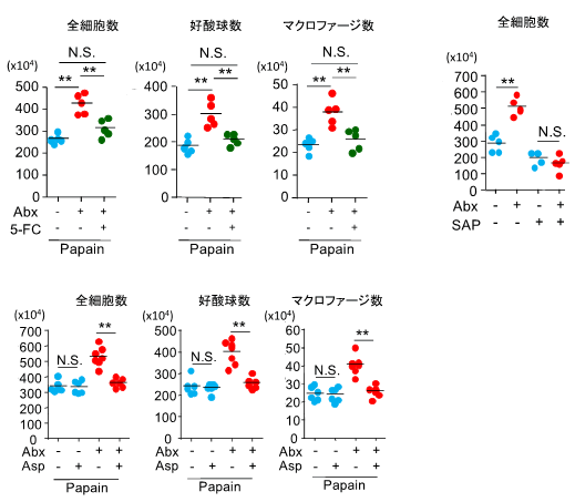 図６